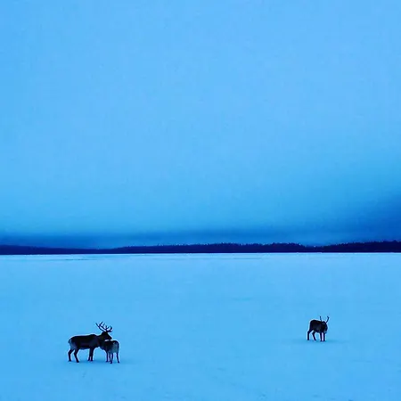 Ferienhaus Pipo By The Lake *