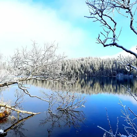 Pipo By The Lake Ruka